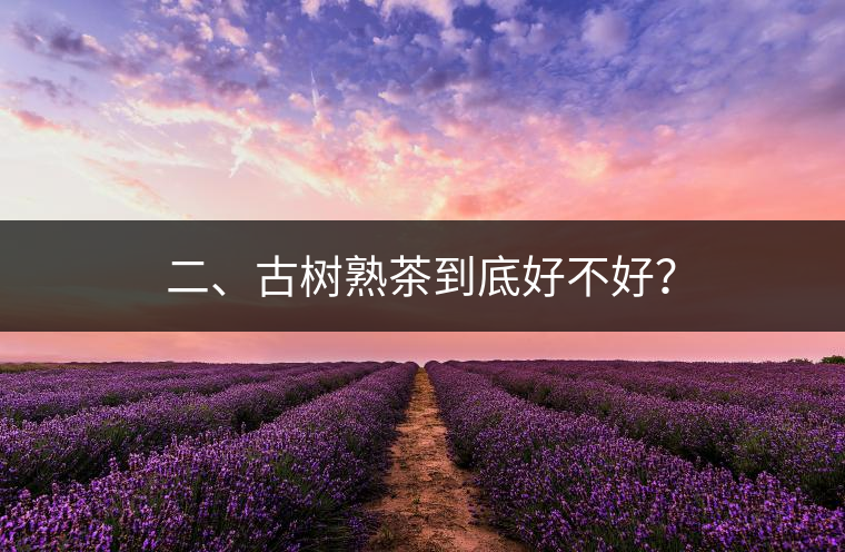 二、古樹熟茶到底好不好？