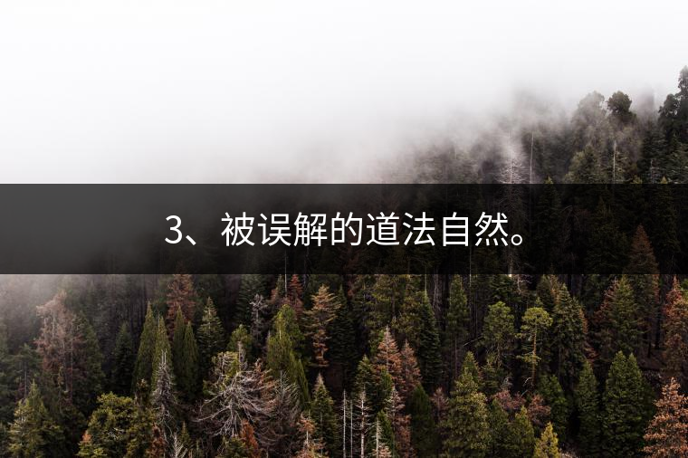 3、被誤解的道法自然。