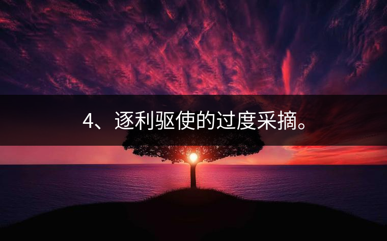 4、逐利驅(qū)使的過(guò)度采摘。