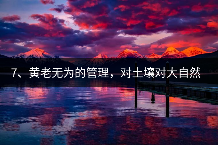 7、黃老無(wú)為的管理，對(duì)土壤對(duì)大自然的過(guò)渡依賴(lài)，對(duì)茶樹(shù)根疏忽。