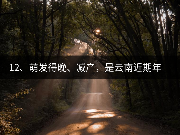 12、萌發(fā)得晚、減產(chǎn)，是云南近期年氣候變化在茶樹(shù)上的延遲反映。