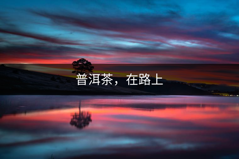 普洱茶，在路上