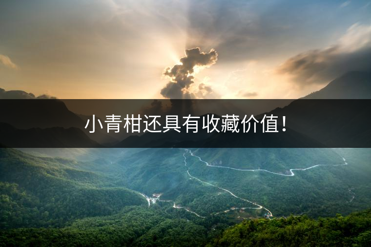 小青柑還具有收藏價值！