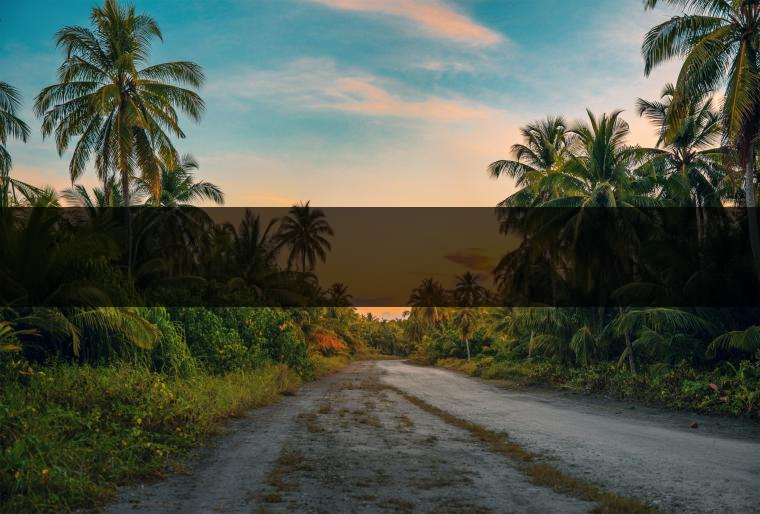 俊仲號2016年丙申猴年生肖?<p><img decoding= ?