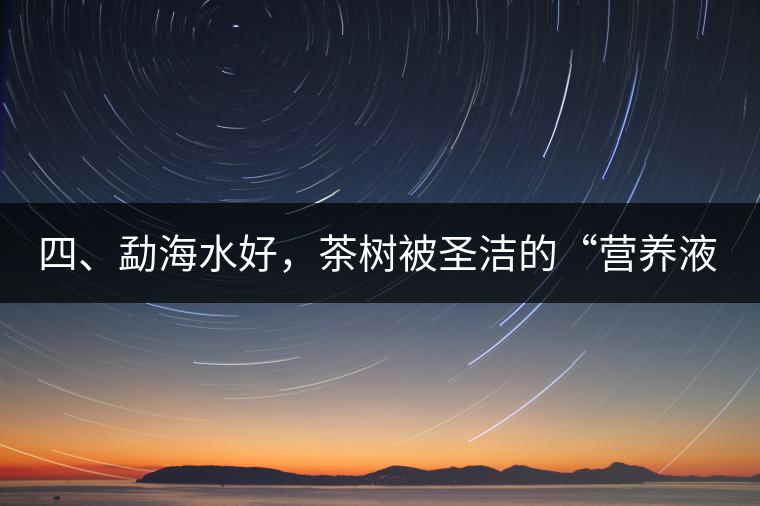 四、勐海水好，茶樹被圣潔的“營養(yǎng)液”所滋養(yǎng)
