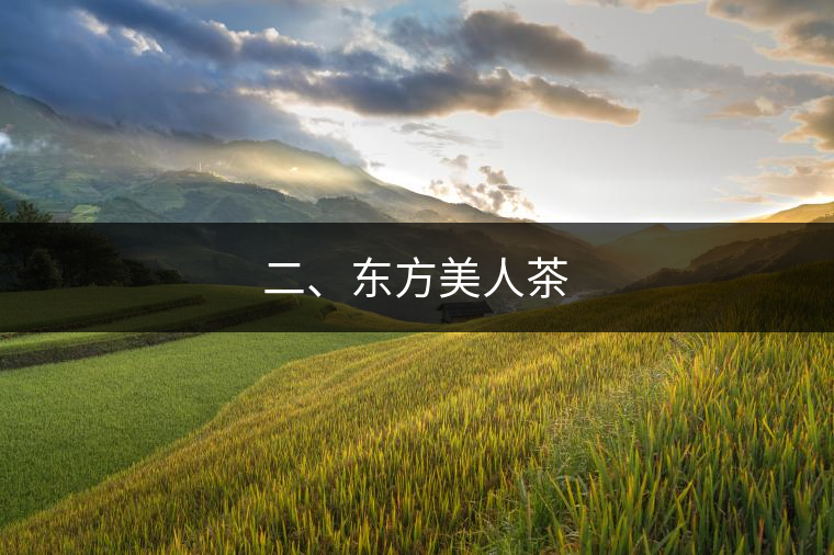 二、東方美人茶