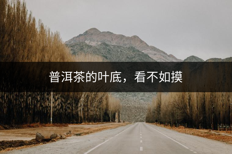 普洱茶的葉底，看不如摸