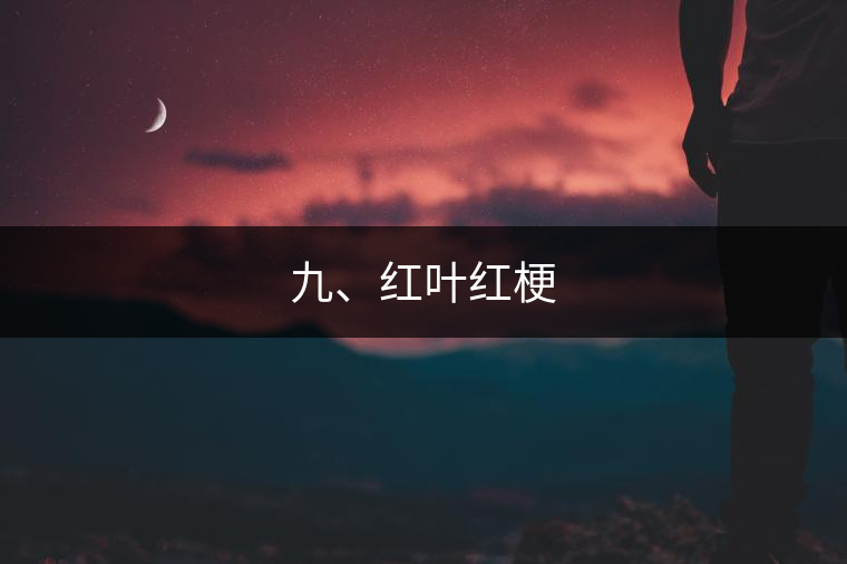 九、紅葉紅梗