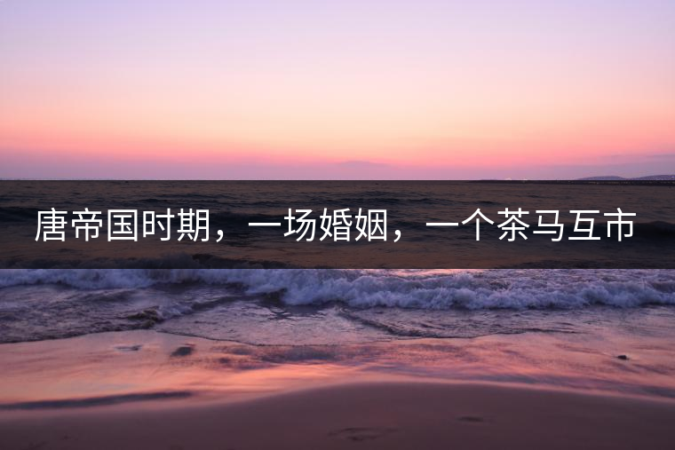 唐帝國時期，一場婚姻，一個茶馬互市，讓這里結束了漢藏對峙。宋代南茶北，西北茶馬司設立，因茶而改變的生活日益凸顯。元代八思巴與忽必烈在這一區(qū)域結盟，為蒙藏兩大民族交往鋪好通衢大道，明代俺答汗與達賴在山海之間追思各自先人，青海人宗喀巴創(chuàng)建的黃教通過蒙、藏兩大領袖的推廣，締造了影響至今的格局。大清經過康、雍、乾三代勵精圖治，滿、藏、蒙各自龐大的疆域第一次完整地統(tǒng)轄在中央帝國的版圖下。