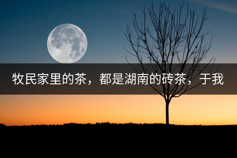 牧民家里的茶，都是湖南的磚茶，于我們而言不見得有多好，它們粗糙得看可見茶梗和樹枝，但于他們來說，卻是每日的生活必需品。端到桌上的茶碗，也是缺了口鋦過青花瓷碗，聞得見修補后的手溫，喝下加過鹽巴的磚茶，一身暖意，融化了深藏在發(fā)底的冰屑，溫暖著身心。