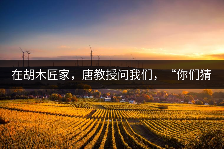 在胡木匠家，唐教授問我們，“你們猜猜他們家的茶放在哪里？”我們回答廚房、客廳都不對，“難道像寺院一樣，有專門的茶房不成？”教授和木匠都哈哈大笑，連連搖頭。在木匠的帶領下，我們來到主人的臥室，茶磚整齊有序地堆放在床頭柜里。一家之主的臥室，既是休息之所，亦是一家財富與傳家寶的收藏地。茶之精貴，毋需多言。