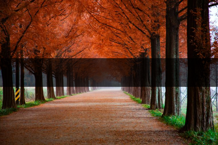 這樣的茶葉邊疆文化，也許是明代大學者解縉最樂意見到的。他曾說，中原最好的東西就是茶，而番人最好的就是馬。他贊同明廷茶馬互市的國策：茶之于夷人，如同中國之酒醴，因為茶馬貿易，許多夷人也開始學習中國的知識，對中國也有了向慕之心，那么茶的作用就很顯然，茶有著“夷夏之交，義利之辨，寅賓尚忠信而篤敬，河州固唐虞三代之邦也?！?茶不僅僅是一種飲品，還有其他。茶作為媒介，體現了觀念的變化。如今，隨著茶的傳播，各族人民有了更深入往來，通過貿易、文化、旅游等等。
陳渠珍從西藏抵達湟源區(qū)域時，也為這里的古風所震驚：“余皆漢番雜處。風俗婦女尚餞足，裙下蓮步不及三寸，服飾既古，文化尤卑，鄰居為私塾，當見一生久讀不能成誦，塾師罰之跪，以草圈罩頭上，頻加籌石，令其跪誦。余見駭然?！?
?
（摘自《海峽茶道》，2013年5期）