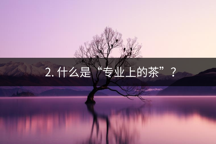 ? 2. 什么是“專業(yè)上的茶”？