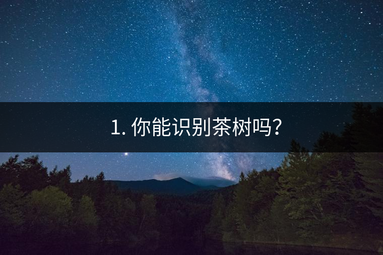 ??1. 你能識(shí)別茶樹嗎？
