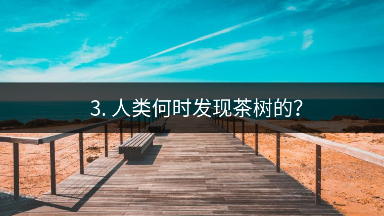 ? 3. 人類何時(shí)發(fā)現(xiàn)茶樹的？