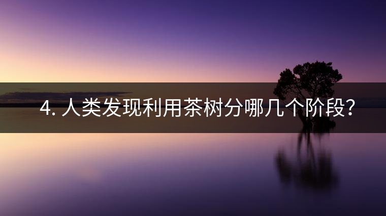 ? 4. 人類發(fā)現(xiàn)利用茶樹分哪幾個(gè)階段？