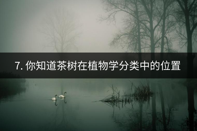 ??7. 你知道茶樹在植物學(xué)分類中的位置嗎？