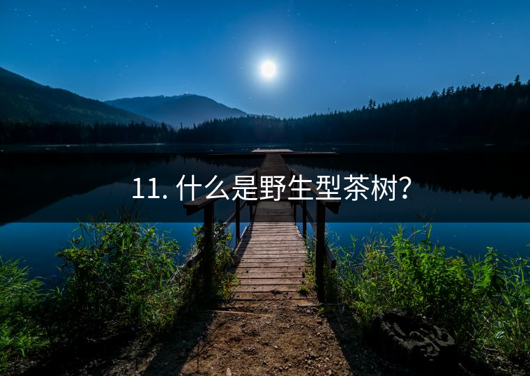 ? 11. 什么是野生型茶樹？