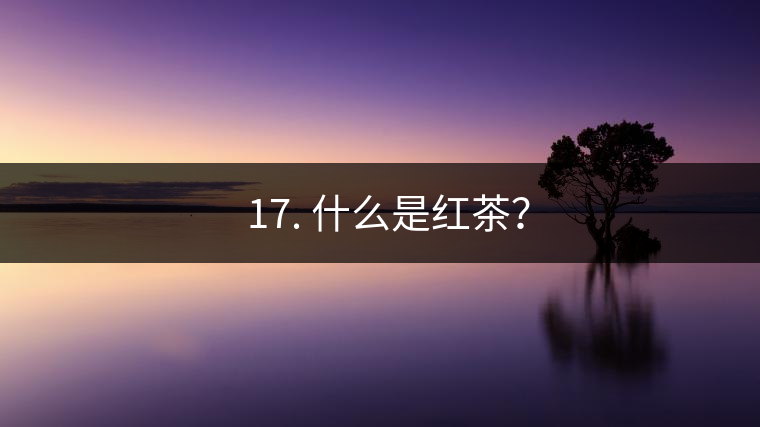 ? 17. 什么是紅茶？