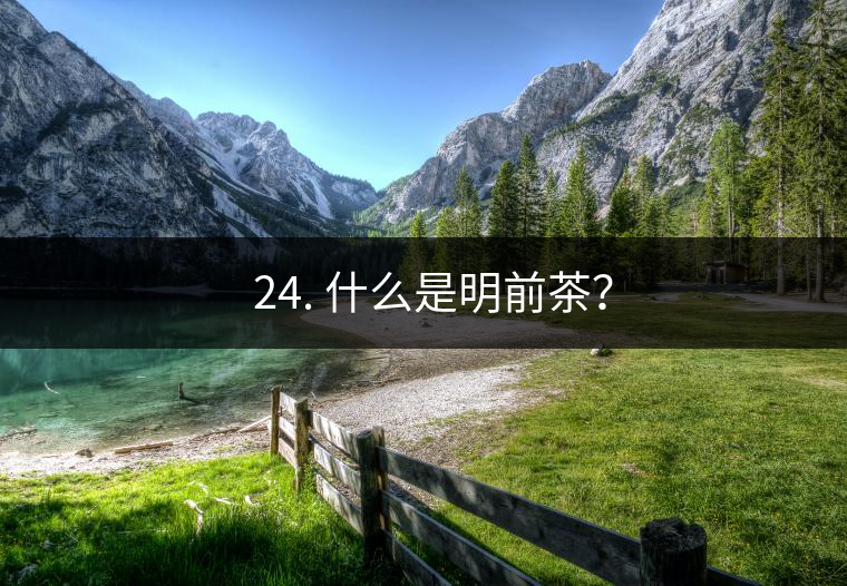 ? 24. 什么是明前茶？