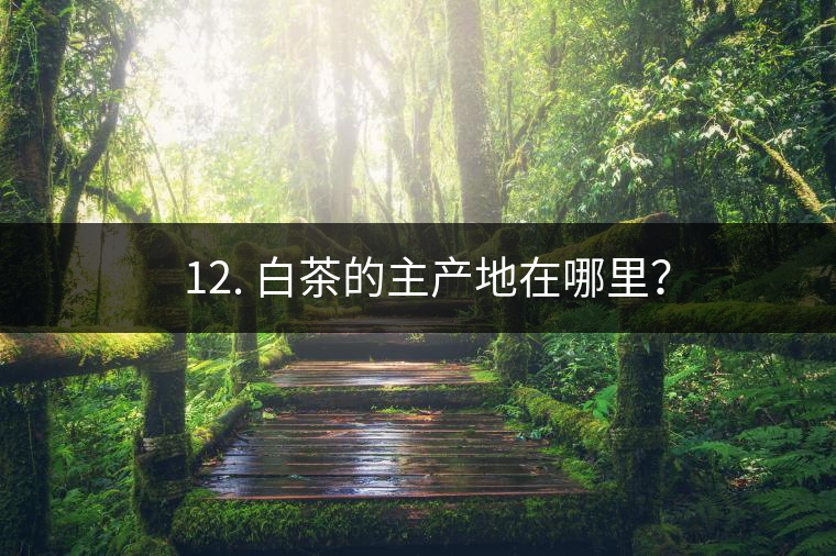 ? 12. 白茶的主產(chǎn)地在哪里？