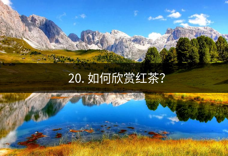 ? 20. 如何欣賞紅茶？