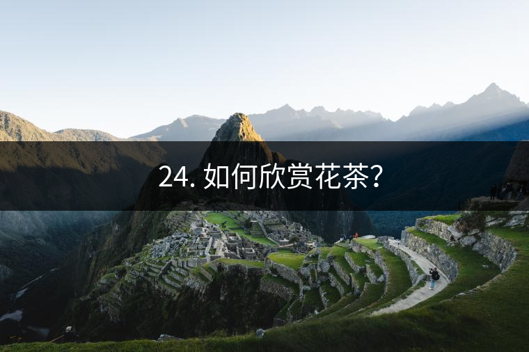 ? 24. 如何欣賞花茶？