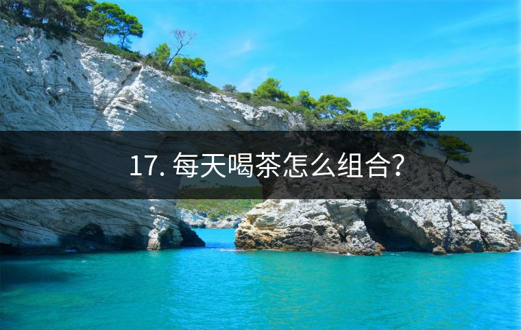 ? 17. 每天喝茶怎么組合？