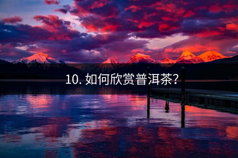 ? 10. 如何欣賞普洱茶？