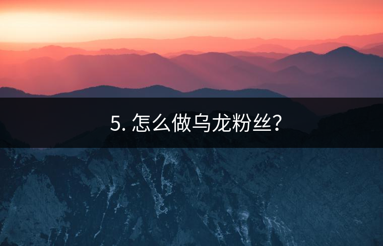 ? 5. 怎么做烏龍粉絲？