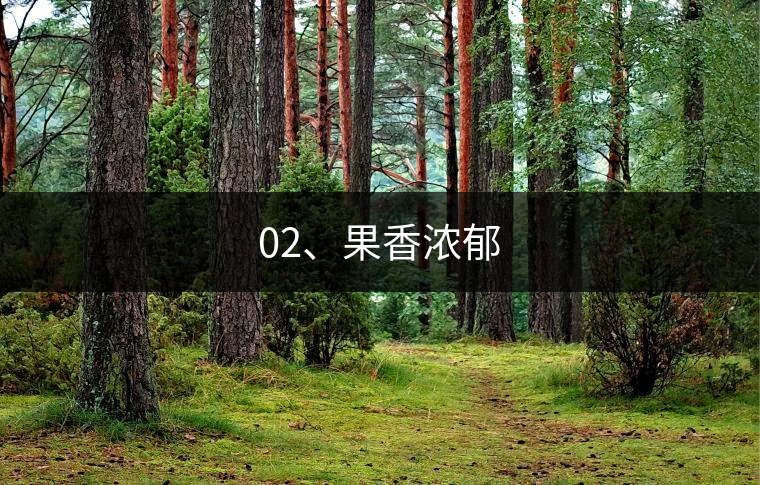 02、果香濃郁