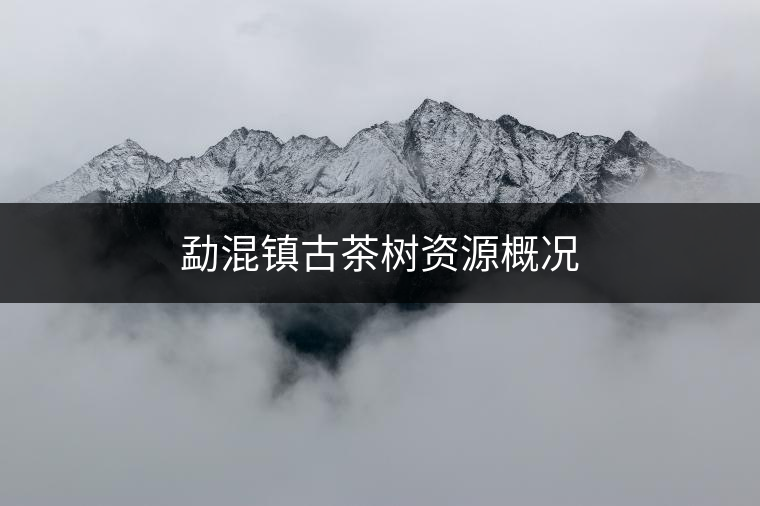 勐混鎮(zhèn)古茶樹資源概況 勐混鎮(zhèn)古茶樹資源概況