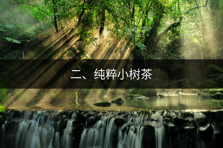 二、純粹小樹茶