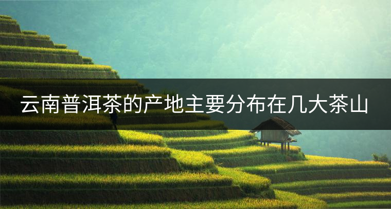 云南普洱茶的產(chǎn)地主要分布在幾大茶山，普洱茶古茶山以瀾滄江為界劃分為