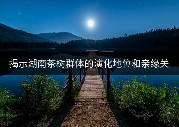 揭示湖南茶樹(shù)群體的演化地位和親緣關(guān)系 揭示湖南茶樹(shù)群體的演化地位和親緣關(guān)系