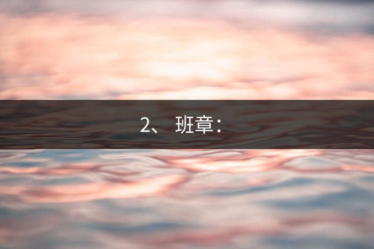 2、 班章：?