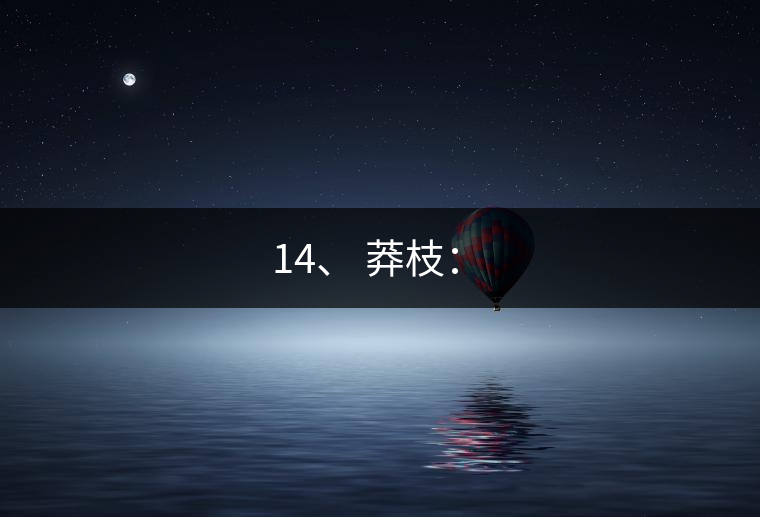 14、 莽枝：?