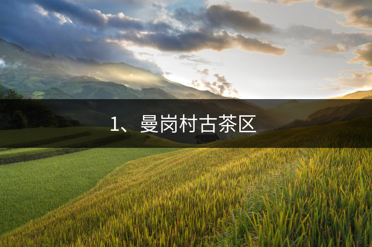 1、曼崗村古茶區(qū) ?
