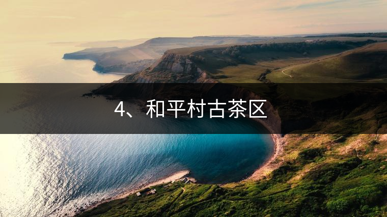 4、和平村古茶區(qū) ?