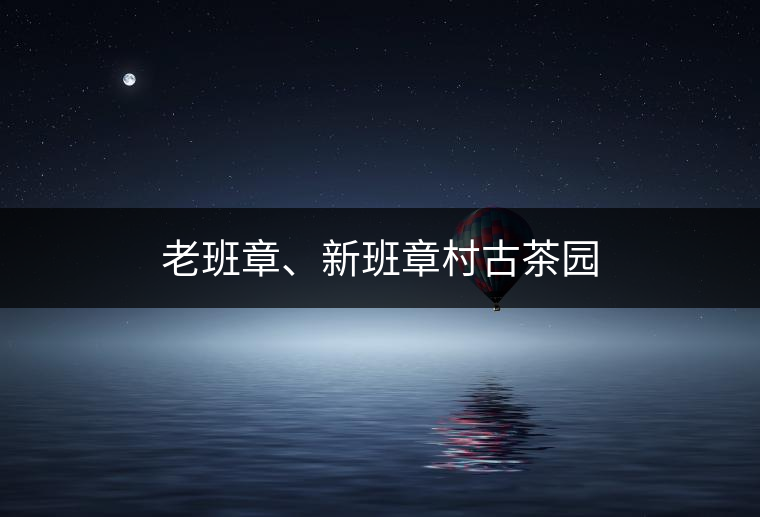 老班章、新班章村古茶園