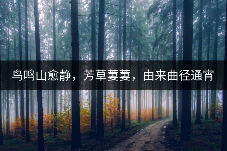 鳥鳴山愈靜，芳草萋萋，由來曲徑通宵漢。