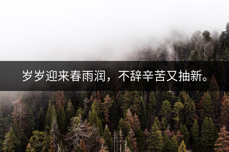 歲歲迎來春雨潤，不辭辛苦又抽新。