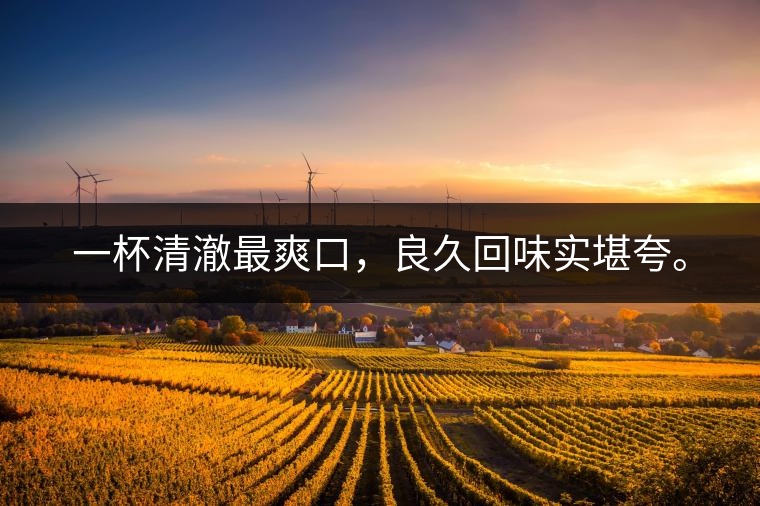 若能一日車船至，從此美名滿天涯。