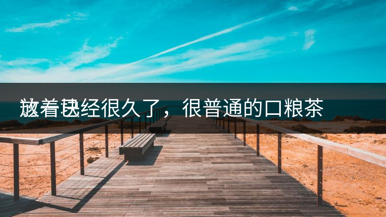 這一塊
放著已經(jīng)很久了，很普通的口糧茶，煙味很重，但回甘也可以，隨意喝喝吧。