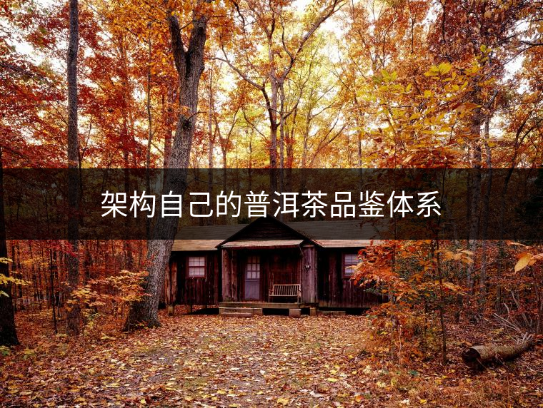 架構自己的普洱茶品鑒體系