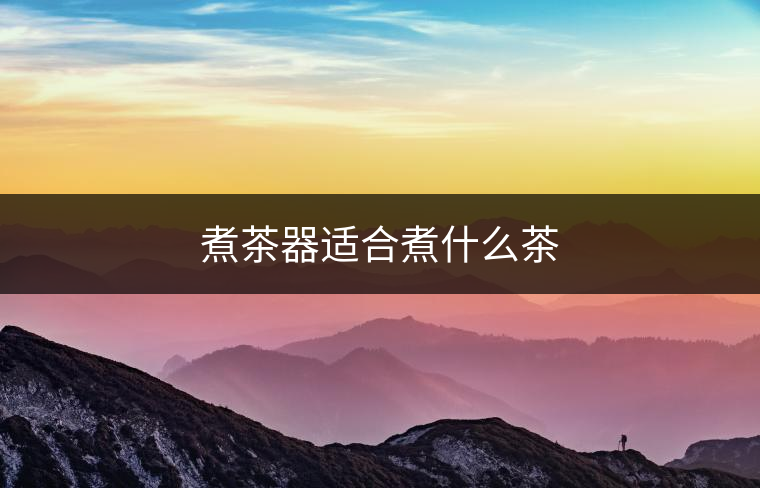 煮茶器適合煮什么茶