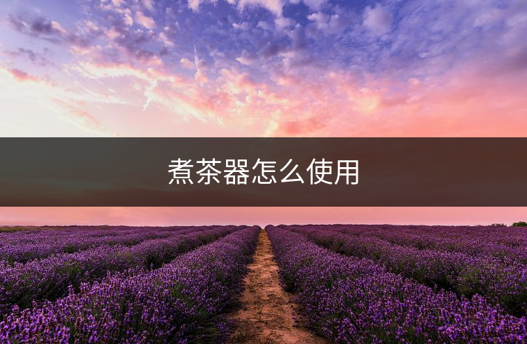 煮茶器怎么使用