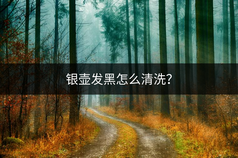 銀壺發(fā)黑怎么清洗？