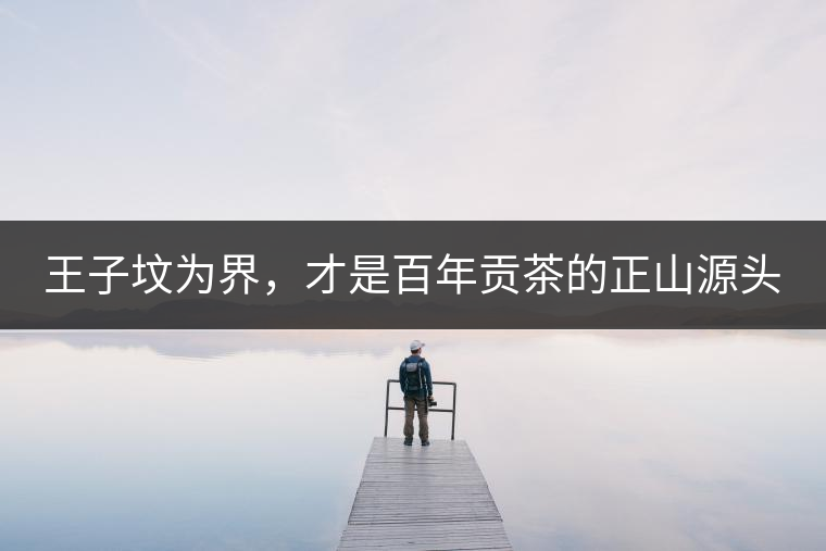 王子墳為界，才是百年貢茶的正山源頭
