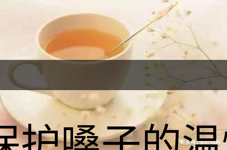 保護嗓子的溫性茶-2